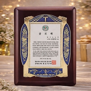 사진후기